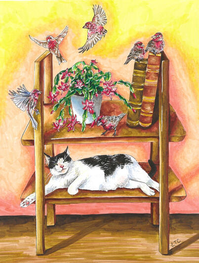 The Boy Finches