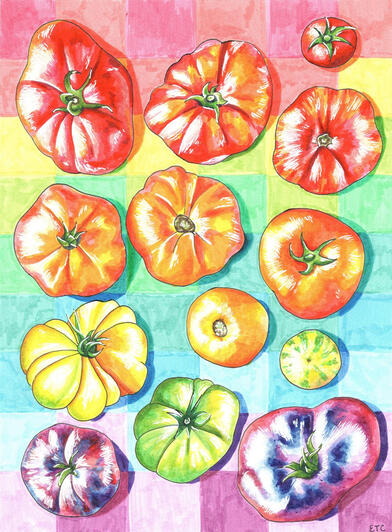Tomato Picnic